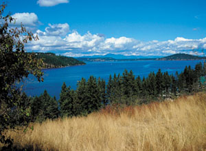 Lake Coeur d Alene