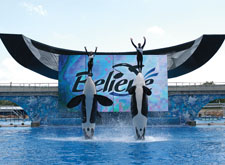 Sea World Orlando